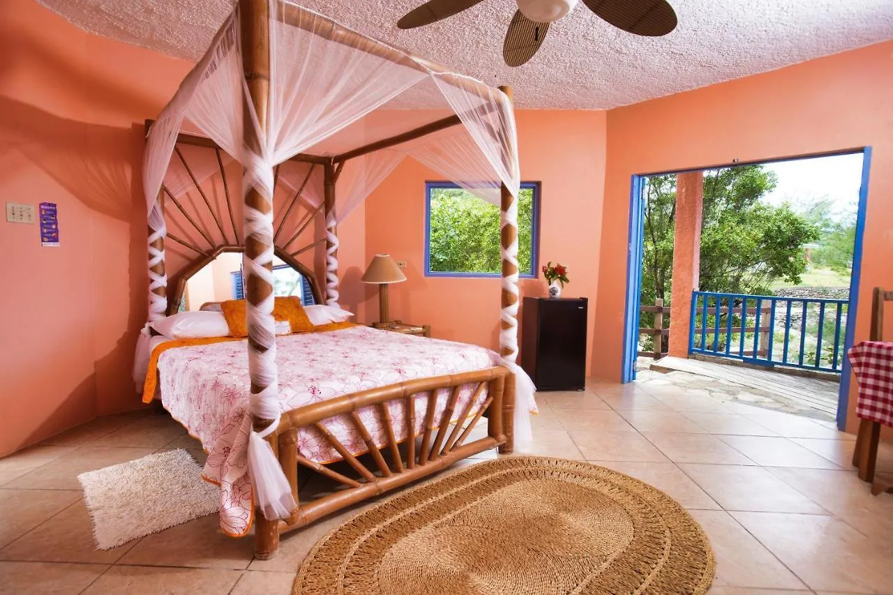 Strawberry Fields Together Robins Bay Inn