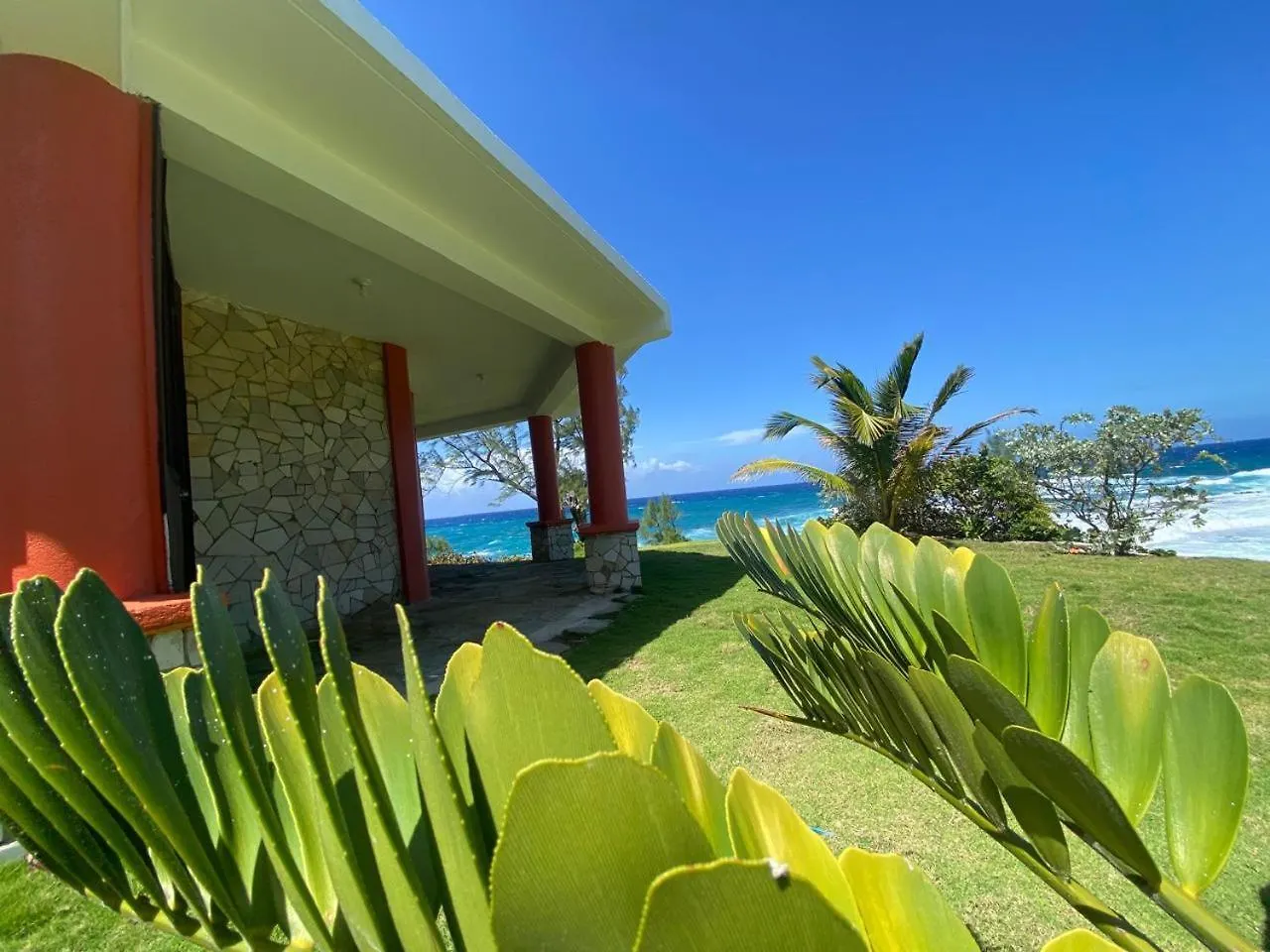 ** Kro Strawberry Fields Together Robins Bay Jamaica